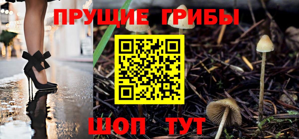Псилоцибиновые грибы MAGIC MUSHROOMS  как найти   Дятьково  Псилоцибиновые грибы прущие грибы  Вход с VPN 