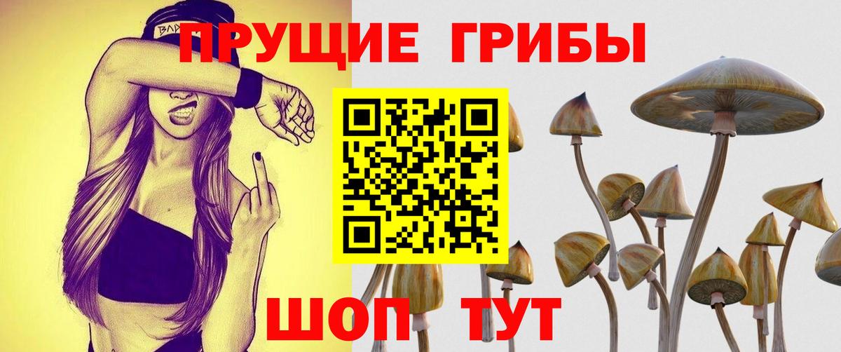 Галлюциногенные грибы Magic Shrooms Дятьково